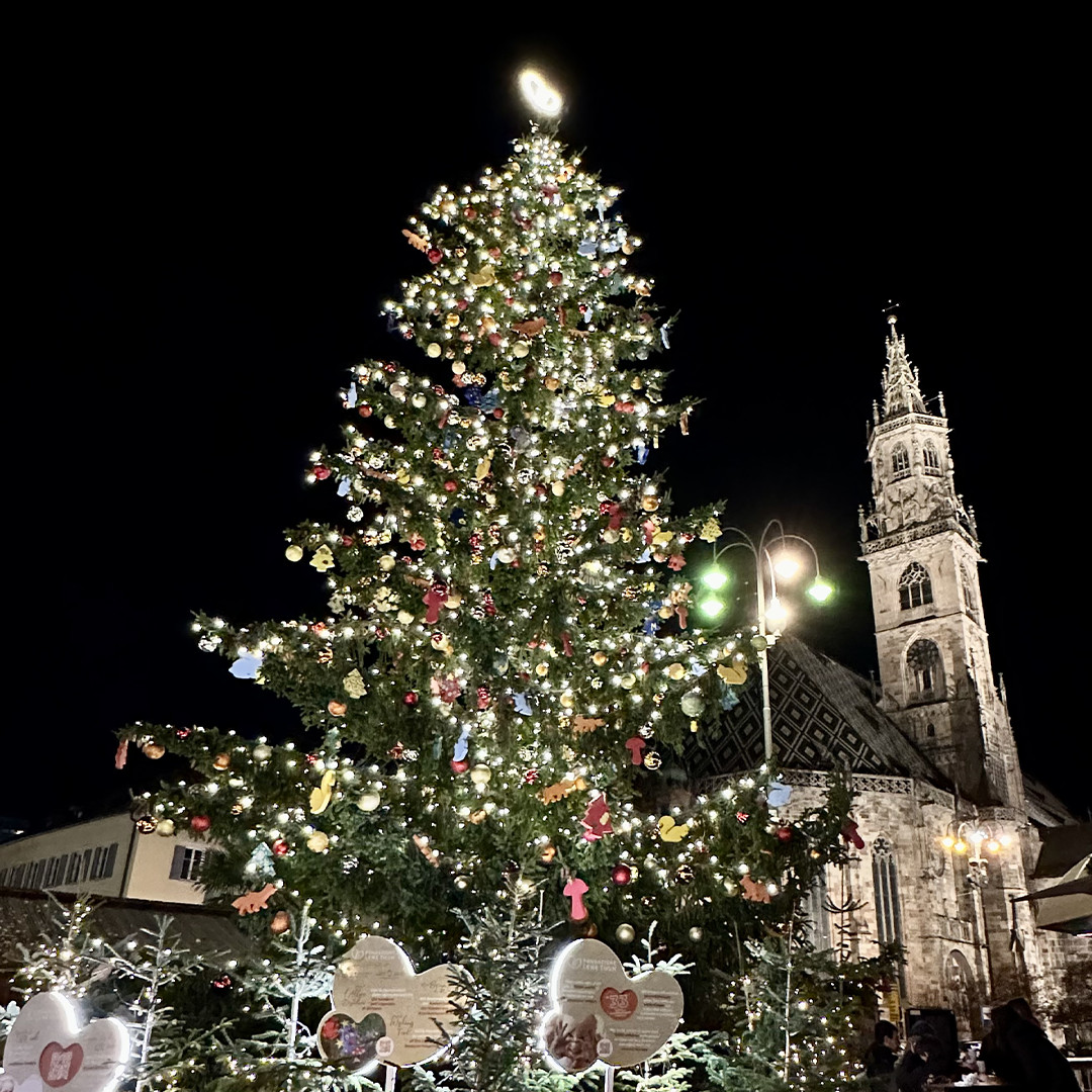 albero dei desideri Bolzano
