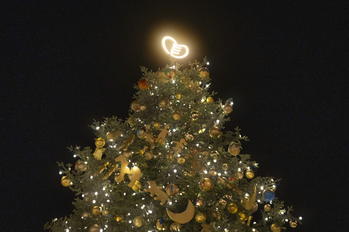 In foto: Albero dei Desideri di Bolzano